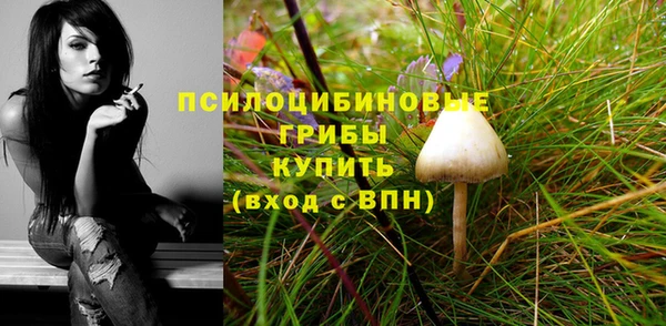 тгк Абаза