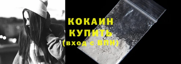 тгк Абаза